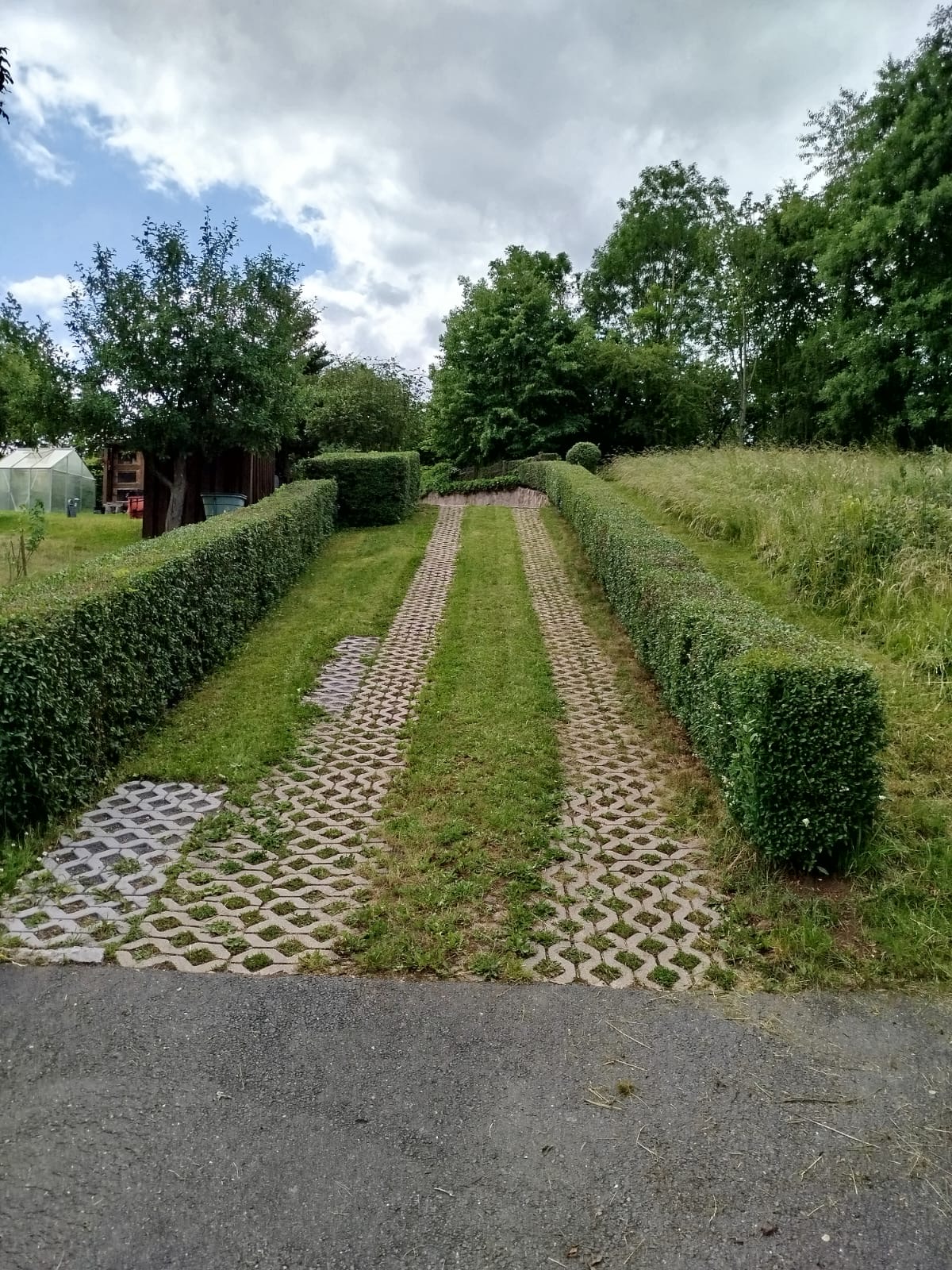 Mäharbeiten & Rasenpflege