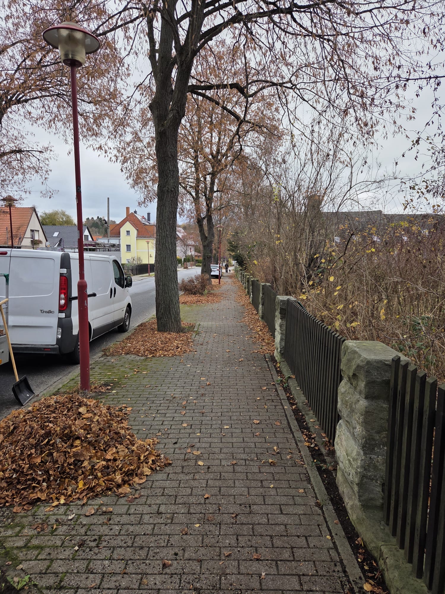 Laubräumung & Pflege